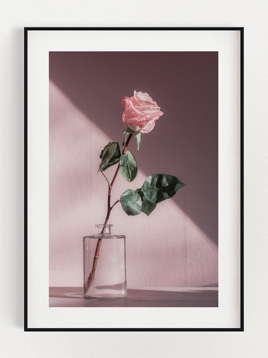Rose Poster